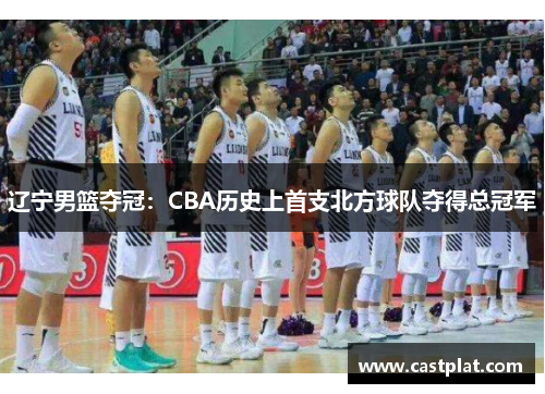 辽宁男篮夺冠：CBA历史上首支北方球队夺得总冠军