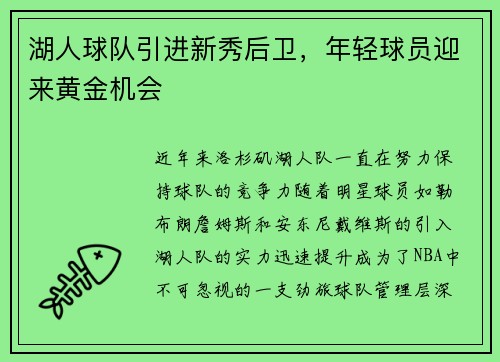 湖人球队引进新秀后卫，年轻球员迎来黄金机会